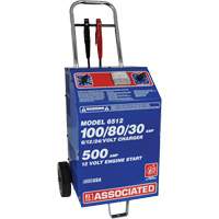 Chargeur rapide de batterie 220 V pour parc automobile international et commercial Advanced Consulting and Training Ltd.