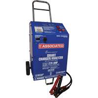 Analyseur et chargeur intelligent 12 V Intellamatic Advanced Consulting and Training Ltd.