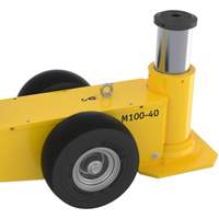 Mammut Jack, 110 Ton(s), Air Hydraulic Advanced Consulting and Training Ltd.