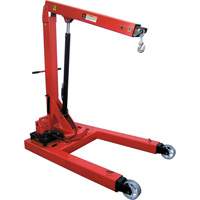 Grue hydraulique de plancher &eacute;lectro, Capacit&eacute; 6613,87 lb (3 tonnes) Advanced Consulting and Training Ltd.