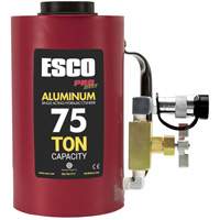 Heavy-Duty Hydraulic Cylinder, 6" Stroke, 75 Ton(s) Capacity, 10000 PSI Advanced Consulting and Training Ltd.