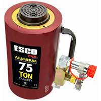 Heavy-Duty Hydraulic Cylinder, 6" Stroke, 75 Ton(s) Capacity, 10000 PSI Advanced Consulting and Training Ltd.