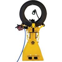 &eacute;carteur pneumatique pour pneus de camionnettes et de camions l&eacute;gers Advanced Consulting and Training Ltd.