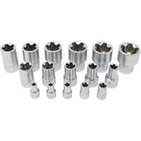 5-Point EPR Torx Socket Set, 16 Pieces, 1/4"/3/8"/1/2" Drive Size Advanced Consulting and Training Ltd.