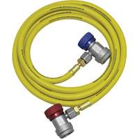 Ensemble flexible de rinçage pour syst&egrave;me de climatisation R134a Advanced Consulting and Training Ltd.
