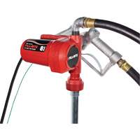 12V DC Fuel Transfer Pump with Nozzle Advanced Consulting and Training Ltd.