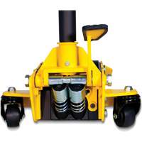 Pro Series Trolley Jack, 3 Ton(s) Capacity, 3-3/4" Lowered, 19-69/100" Raised, Manual Hydraulic Advanced Consulting and Training Ltd.
