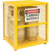 Armoire de rangement pour bouteilles &agrave; gaz, nbre de bouteilles: 4, 30" , 30" , 35" , Jaune Advanced Consulting and Training Ltd.