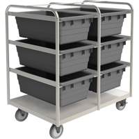 Mobile Tub Rack, Double-sided, 6 bins, 26" W x 36" D x 42" H Advanced Consulting and Training Ltd.