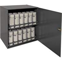 Armoire de rangement pour contenants a&eacute;rosol, Acier, 21-7/8" h x 15-15/16" la x 20-5/16" P, Gris Advanced Consulting and Training Ltd.