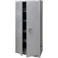 Armoire de rangement, Acier, 4 Tablettes, 66" h x 30" la x 15" P, Gris Advanced Consulting and Training Ltd.