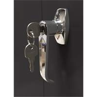 Armoire d'entreposage, Acier, 4 Tablettes, 66" h x 30" la x 15" P, Noir Advanced Consulting and Training Ltd.