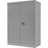 Counter-High Storage Cabinet, Steel, 2 Shelves, 42" H x 48" W x 24" D, Grey Advanced Consulting and Training Ltd.