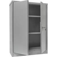 Counter-High Storage Cabinet, Steel, 2 Shelves, 42" H x 48" W x 24" D, Grey Advanced Consulting and Training Ltd.