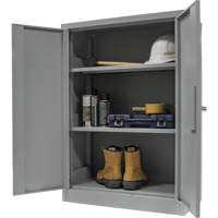 Counter-High Storage Cabinet, Steel, 2 Shelves, 42" H x 48" W x 24" D, Grey Advanced Consulting and Training Ltd.