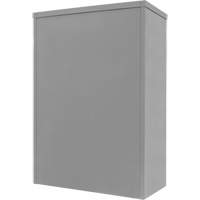 Counter-High Storage Cabinet, Steel, 2 Shelves, 42" H x 48" W x 24" D, Grey Advanced Consulting and Training Ltd.