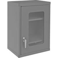 Armoire de rangement murale avec portes transparentes, 26-15/16" h x 18-1/8" la x 13-11/16" p, 2 tablettes, Acier, Gris Advanced Consulting and Training Ltd.