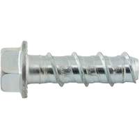 Wedge Bolts, Carbon Steel, 1/2" x 2" Advanced Consulting and Training Ltd.