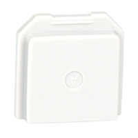 BW Gas Detector Dummy Sensor for Toxic Location Advanced Consulting and Training Ltd.