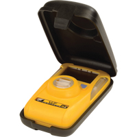BW Hibernation Case for BW Clip Advanced Consulting and Training Ltd.