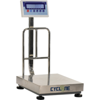 Balance &agrave; plateforme et d'&eacute;tabli Cyclone 150, Capacit&eacute; de 300 lb / 150 kg, 15-3/4" lo x 19-7/10" la Advanced Consulting and Training Ltd.