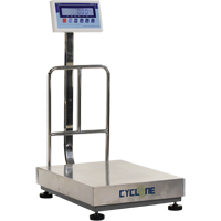 Balance &agrave; plateforme et d'&eacute;tabli Cyclone 300, Capacit&eacute; de 600 lb / 300 kg, 17-3/4" lo x 23-3/5" la Advanced Consulting and Training Ltd.