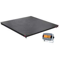 Balance de plancher DEFENDER 3000, Capacit&eacute; de 2500 lb, 48" la x 48" lo Advanced Consulting and Training Ltd.