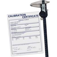 Digital Caliper with Traceable Certificate, 0.0005" (0.01 mm) Resolution, 0" - 12" (0 mm - 300 mm) Range Advanced Consulting and Training Ltd.
