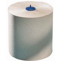 Roll Towels, 1 Ply, Standard, 700' L Advanced Consulting and Training Ltd.