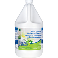 Multi-Purpose Concentrated Bathroom Cleaner, 4 L, Jug Advanced Consulting and Training Ltd.