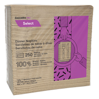 Pro Select 1/8 Fold Dinner Napkins, 1 Ply, 15.5" x 16" Advanced Consulting and Training Ltd.
