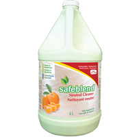 Neutral Cleaner, 4 L, Jug Advanced Consulting and Training Ltd.