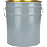 Seau doubl&eacute;, Acier, 18,9 L Advanced Consulting and Training Ltd.