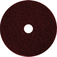 Floor Maintenance Pads, 17", Stripping, Brown Advanced Consulting and Training Ltd.