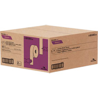 Papier hygi&eacute;nique Pro Select, Rouleau G&eacute;ant, 2 Pli, Longueur 500', Blanc Advanced Consulting and Training Ltd.