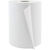 Pro Select Hardwound Hand Towels, 1 Ply, Standard, 600' L Advanced Consulting and Training Ltd.