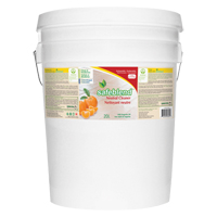 Nettoyant neutre, 20 L, Seau Advanced Consulting and Training Ltd.