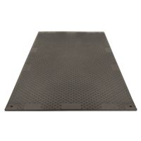 Medium-Duty Ground Protection, 4' x 8', Fiberglass/Polypropylene, Textured, Black Advanced Consulting and Training Ltd.