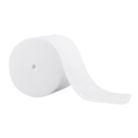 Papier hygi&eacute;nique Scott, Rouleau Sans rouleau central, 2 Pli, 1000 Feuilles/Rouleu, Longueur 333', Blanc Advanced Consulting and Training Ltd.