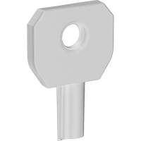 Lock or Not Dispenser Key Advanced Consulting and Training Ltd.