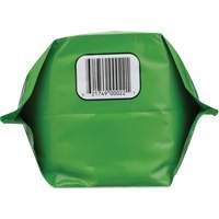 Nettoyant pour les mains biod&eacute;gradable, Poudre, 4,5 lb, Pochette, Sans parfum Advanced Consulting and Training Ltd.