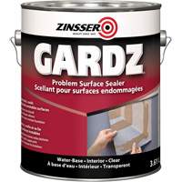 Scellant de surface &agrave; probl&egrave;mes Gardz, 916 ml, Canette, Transparent Advanced Consulting and Training Ltd.