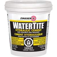 Watertite&reg; Hydraulic Cement Advanced Consulting and Training Ltd.