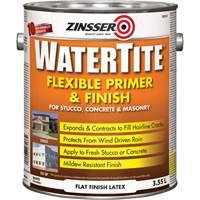Couche primaire et de finition flexible et r&eacute;sistante aux intemp&eacute;ries Watertite, 3,55 L, Gallon, Blanc Advanced Consulting and Training Ltd.