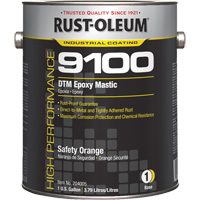 Base de mastic &eacute;poxy DTM du syst&egrave;me 9100, Orange s&eacute;curit&eacute;, Gallon Advanced Consulting and Training Ltd.