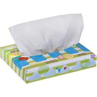 Kleenex&reg; Junior Facial Tissues, 2 Ply, 8.4" L x 5.5" W, 40 Sheets/Box Advanced Consulting and Training Ltd.