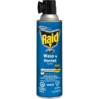 Raid&reg; Wasp & Hornet Bug Killer, 400 g, Solvent Base Advanced Consulting and Training Ltd.