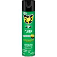 Raid&reg; Home Insect Killer, 350 g, Solvent Base Advanced Consulting and Training Ltd.