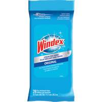 Windex&reg; Glass & Surface Wipes, Packets Advanced Consulting and Training Ltd.