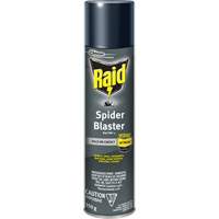 Raid&reg; Spider Blaster Bug Killer Insecticide, 350 g, Aerosol Can, Solvent Base Advanced Consulting and Training Ltd.